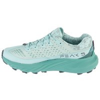 Фото Кроссовки женские Merrell Agility Peak 5 Frost Blue J068266