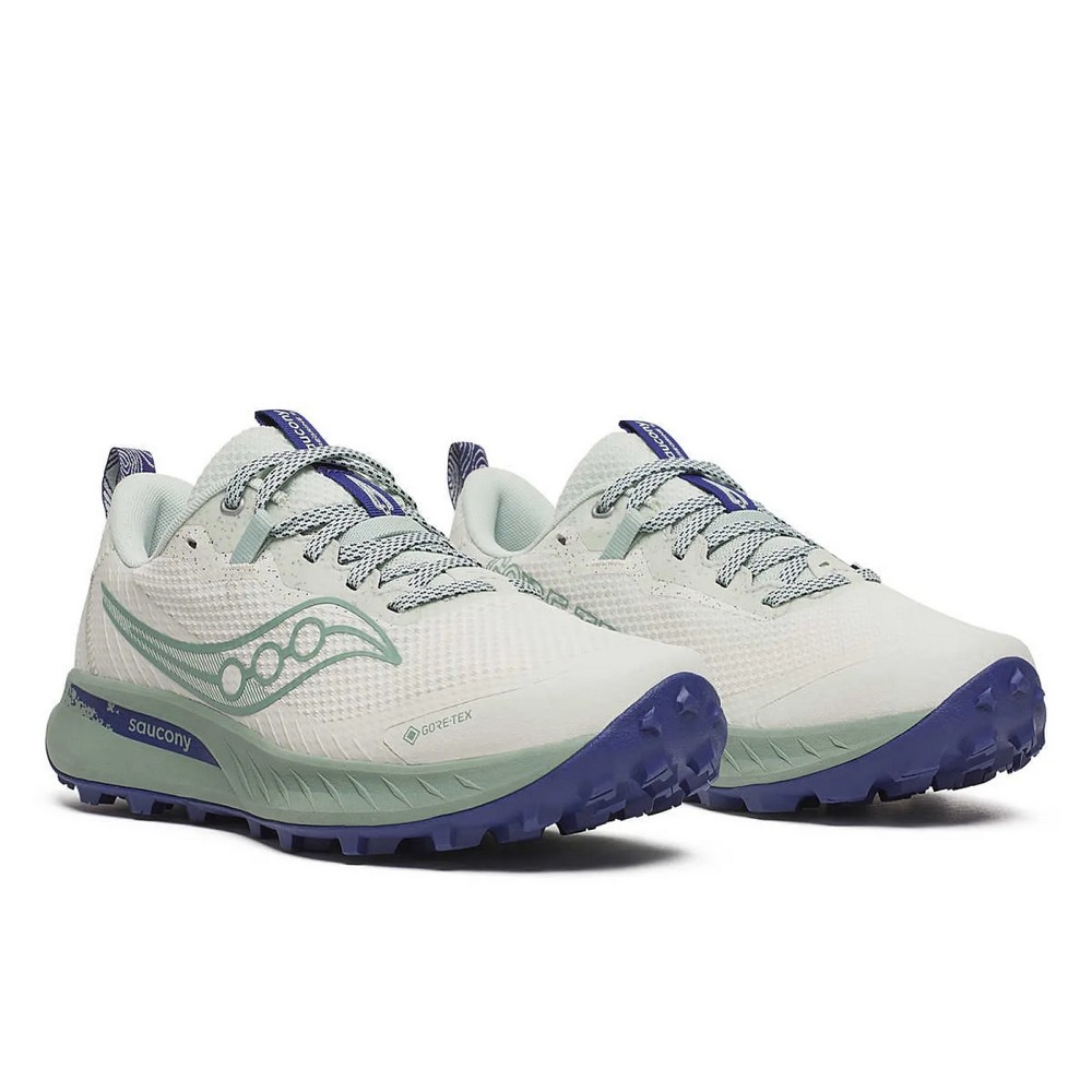 Женские кроссовки Saucony Peregrine 15 GTX Quartz/Mist S10992-260