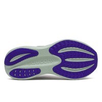 Кроссовки женские Saucony Triumph 23 GTX Shadow/Aloe S11025-01